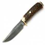 cuchillo de caza braco mango asta de ciervo 450x450 1 175x175 - Couteaux à désosser